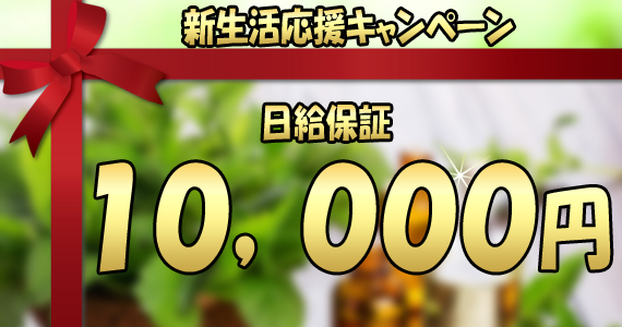 リラクゼーションルームANIRE