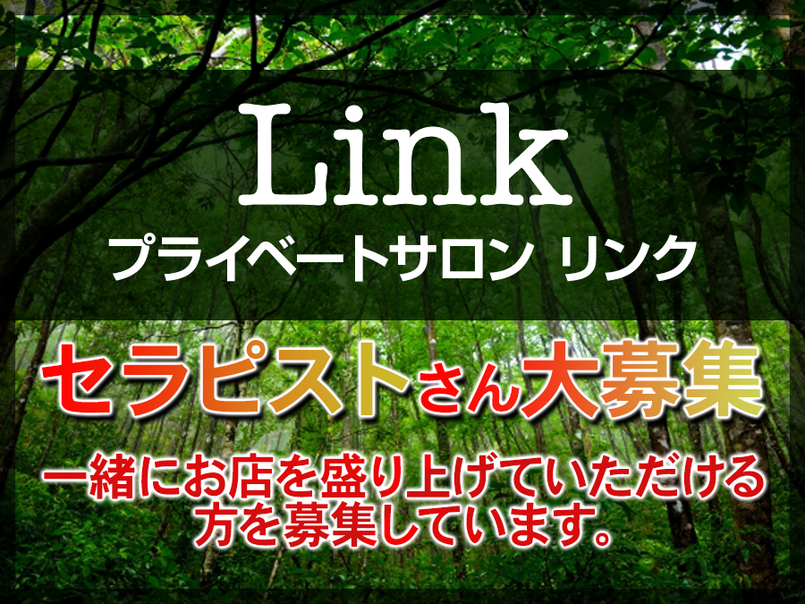 Link (リンク)